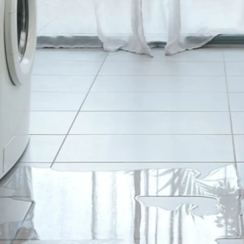 Appliance Leak Cleanup in Eden Valley, MN