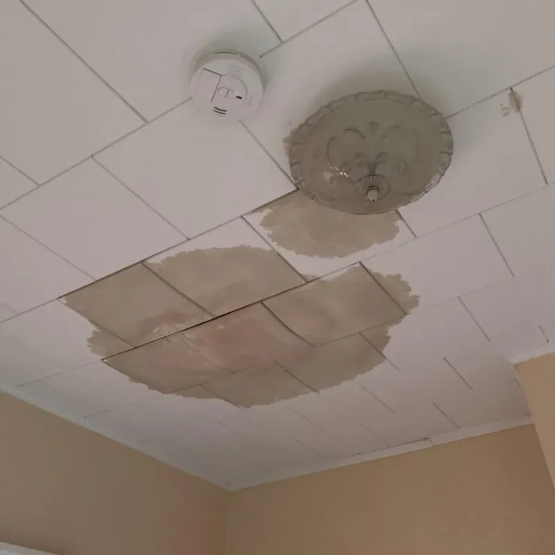 Ceiling Water Damage Repair in Eden Valley, MN