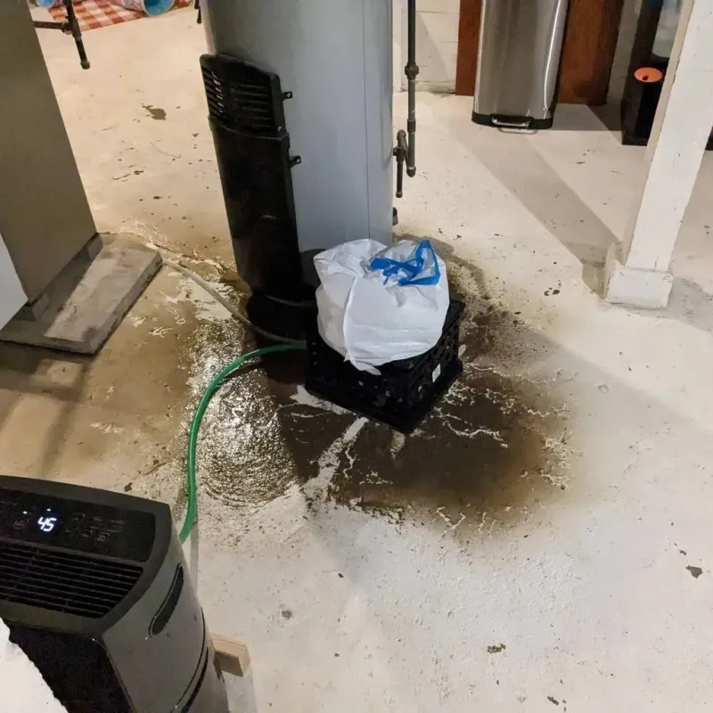 Sewage Backup Cleanup Service in Eden Valley, MN
